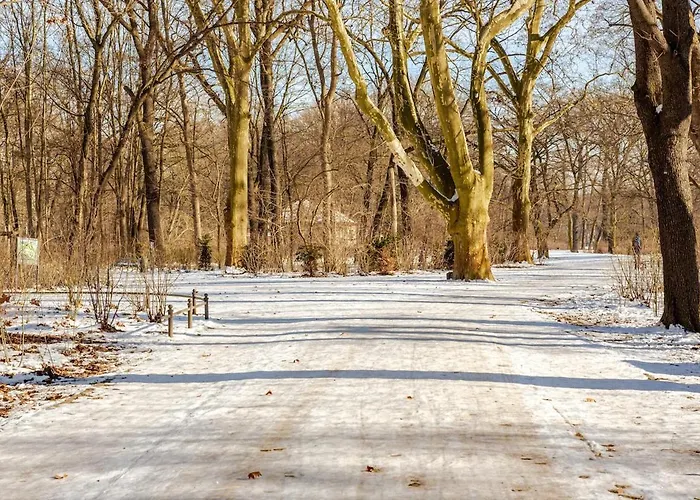 3-room Treptower Park