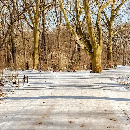 3-room Treptower Park